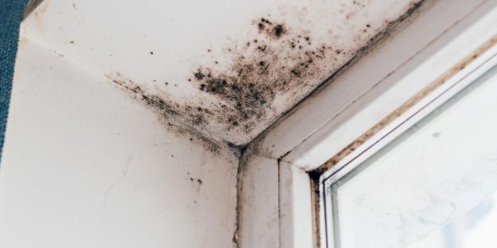 Penész a sarokban? Ezért nem szabad félvállról venni